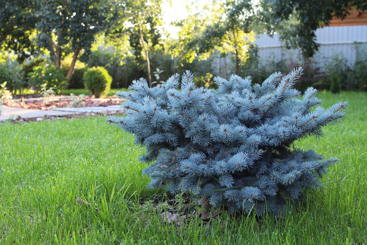 York Landscape Design